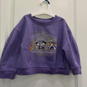 Disney Lavender Sweatshirt